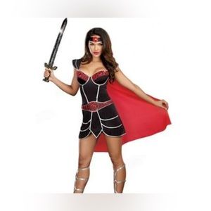 Bring it Warrior Costume (large)